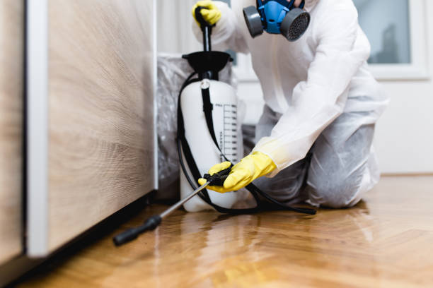 Best Pest Prevention Services  in Schulenburg, TX