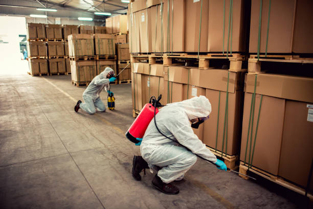Flea Control Services in Schulenburg, TX