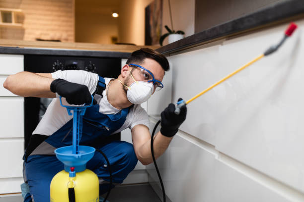 Best Pest Control Near Me in Schulenburg, TX