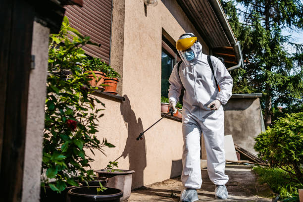 Best Pest Prevention Services  in Schulenburg, TX