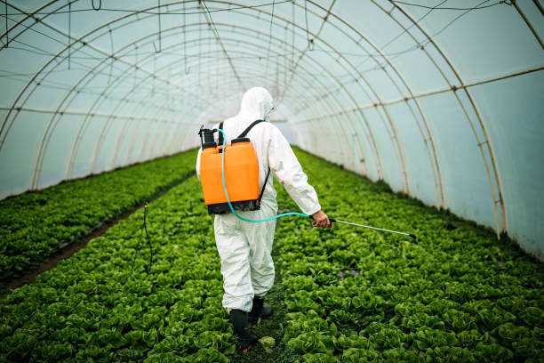 Best Best Pest Control Near Me  in Schulenburg, TX