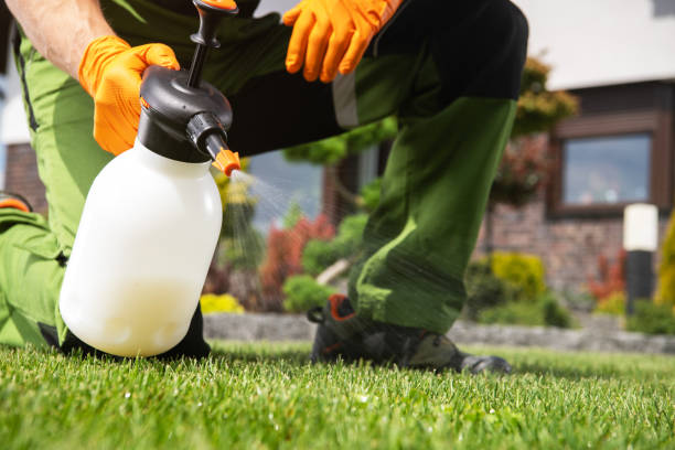 Best Best Pest Control Companies  in Schulenburg, TX
