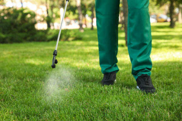 Best Mosquito Control Services  in Schulenburg, TX
