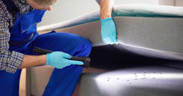 Best Insect Control  in Schulenburg, TX