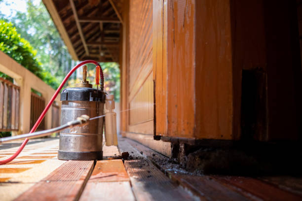 Best Affordable Exterminators  in Schulenburg, TX