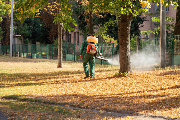 Best Wildlife Control Services  in Schulenburg, TX